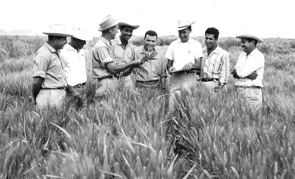 Dr. Norman Borlaug seen standing in Mexican wheat field with a group of biologists